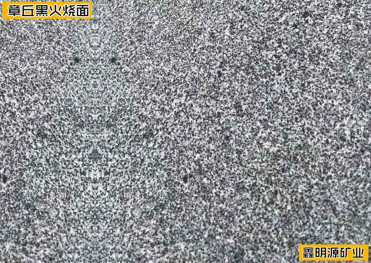 ڻ